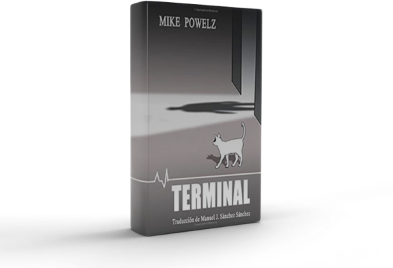 Terminal